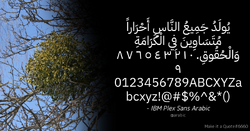 Quote Example arabic.png