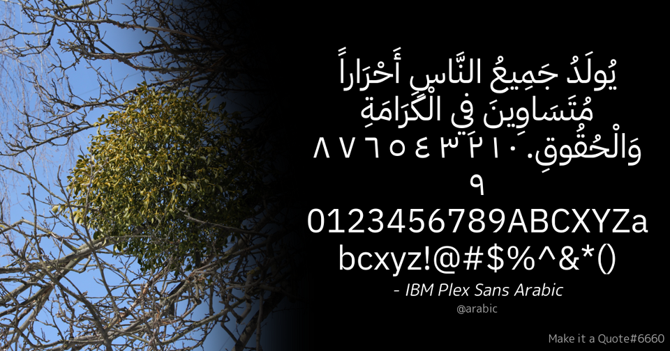 File:Quote Example arabic.png