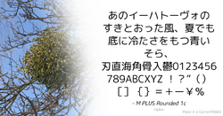 Quote Example mplus light.png