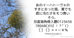 Quote Theme Example mplus White.png