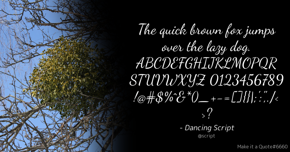 File:Quote Example script.png