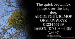Quote Example poltawski.png