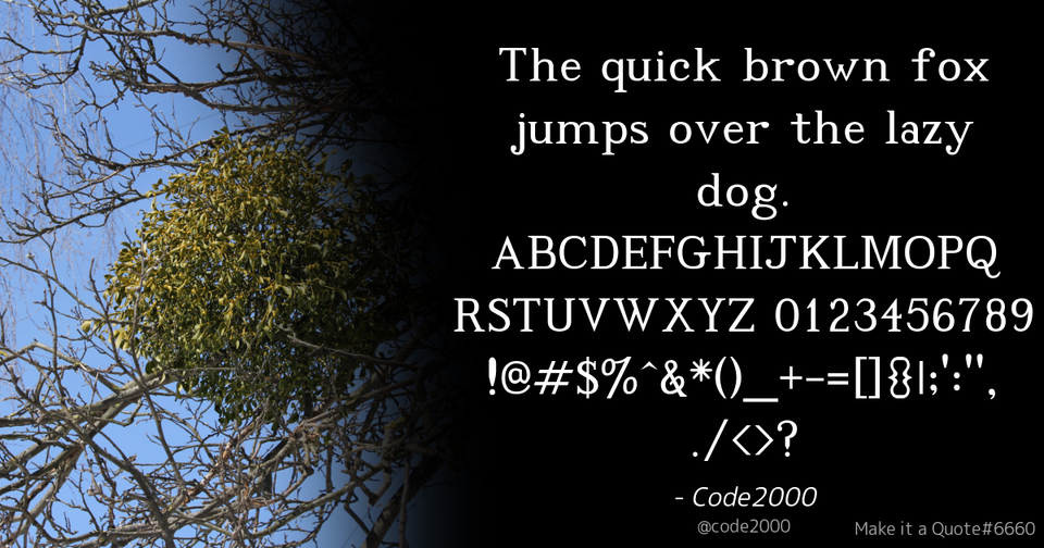 File:Quote Example code2000.png