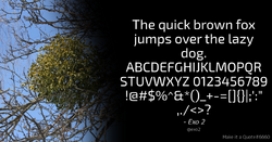 Quote Example exo2.png