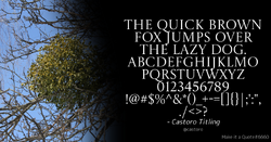 Quote Example castoro.png