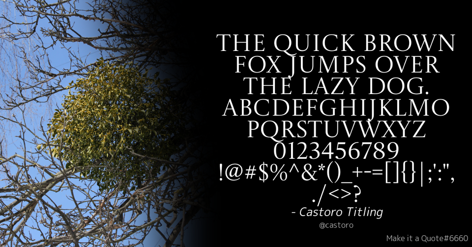File:Quote Example castoro.png