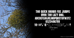 Quote Example vina.png