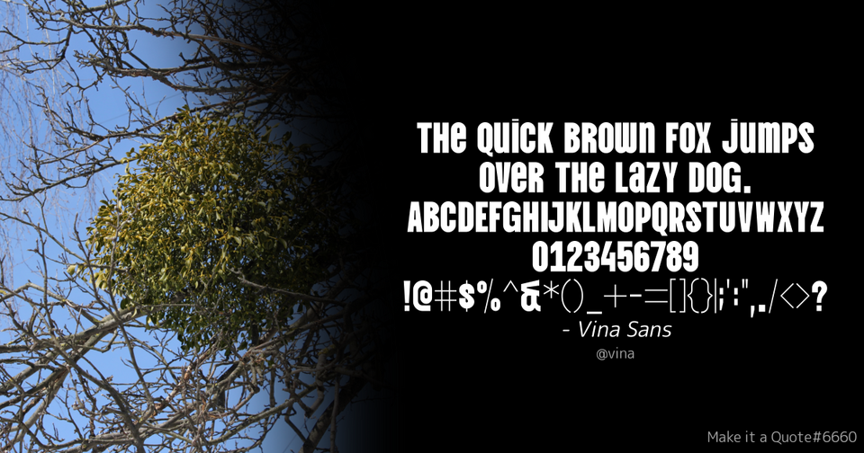File:Quote Example vina.png