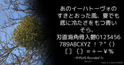 Quote Example mplus.png